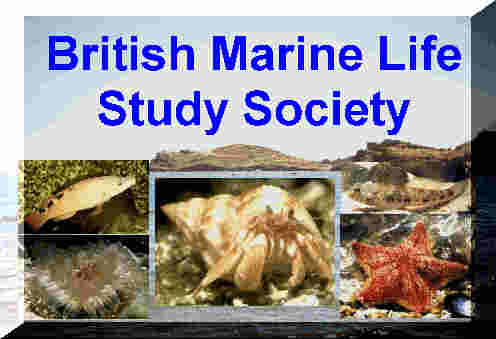interesting information on the coast and sea around the UK