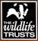 The Wildlife Trusts - protecting wildlife for the future